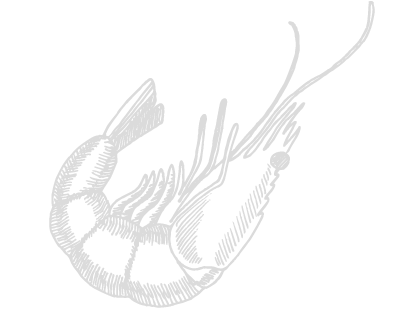 Shape Image