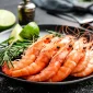 Cum alegi crevetii potriviti pentru fiecare reteta Shrimpania 85x85